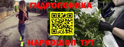 сатива Кулебаки