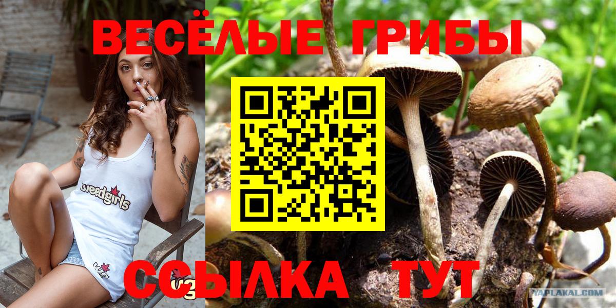Галлюциногенные грибы мухоморы Калуга