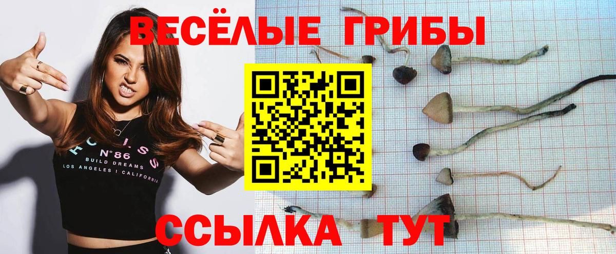 Псилоцибиновые грибы Magic Shrooms  Псилоцибиновые грибы Cubensis  Калуга  Вход с VPN 